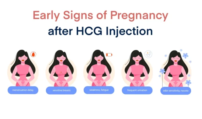 Early Signs of Pregnancy after HCG Injection