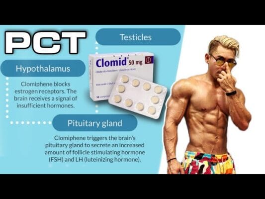 Where Can I Buy Clomid