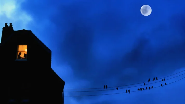 Everything You Need to Know About Insomnia