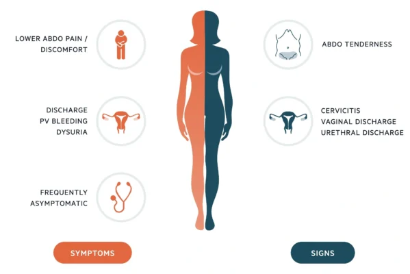 What Causes Chlamydia