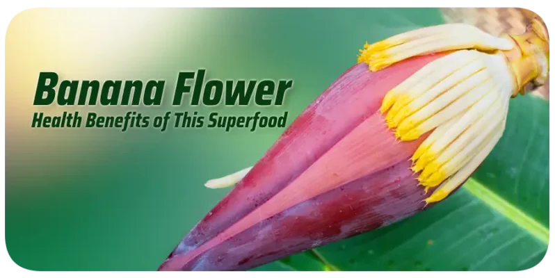 Banana Flower