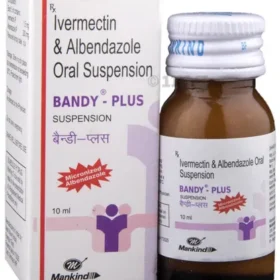 Bandy-Plus