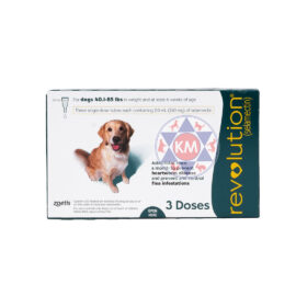 犬のための革命