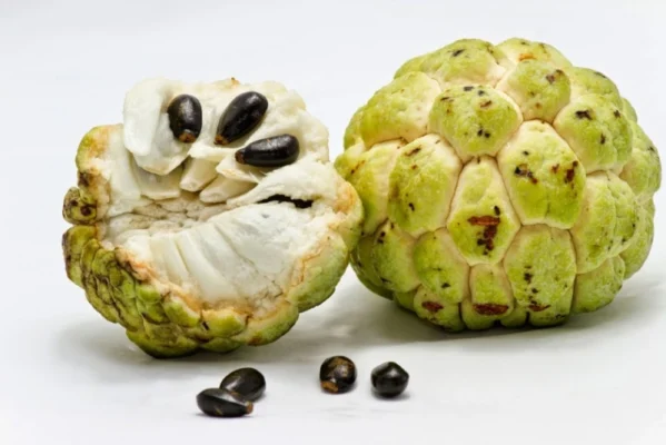 Custard Apple