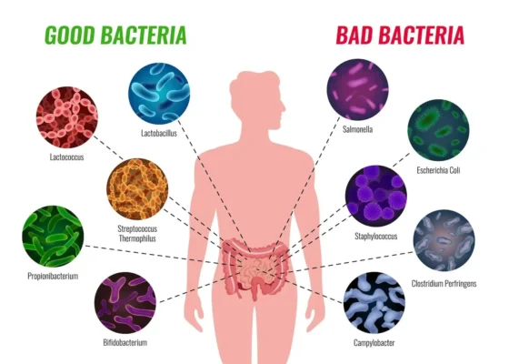 What is a good probiotic for men