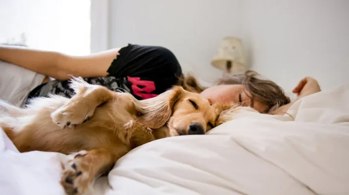 Is It Good to Sleep with Your Dog in Bed
