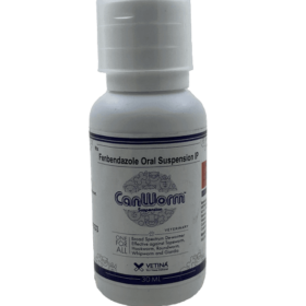 ベティナ・キャンウォーム・サスペンション